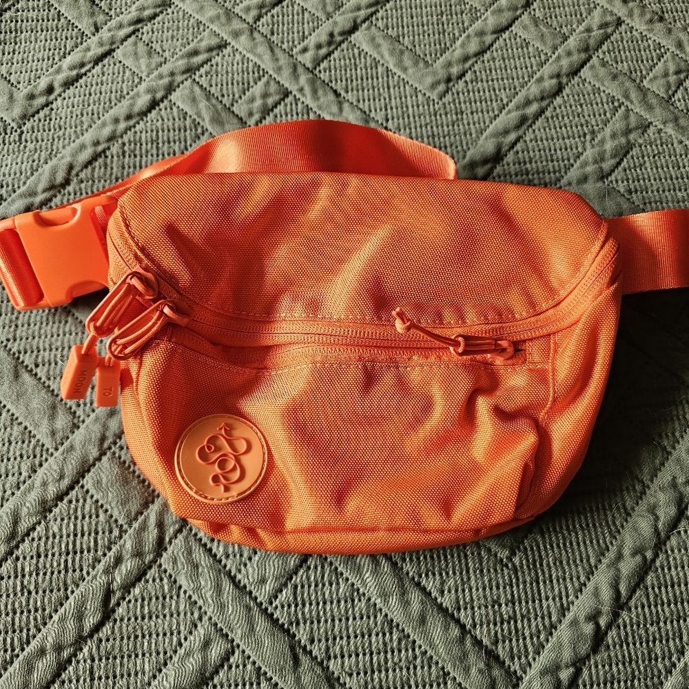 Baboon to the Moon Fanny Pack